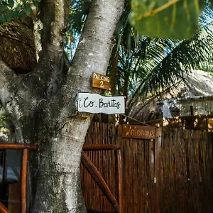 Eco Banitas Tulum Pueblo