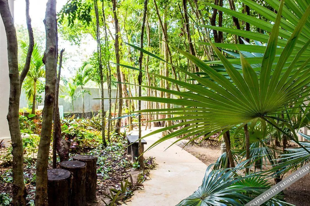 Condo Hotel El Vivero Tulum Pueblo Mexico