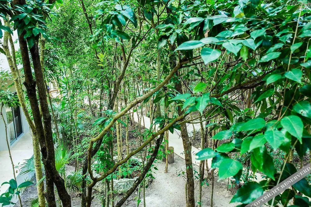 Condo Hotel El Vivero Tulum Pueblo