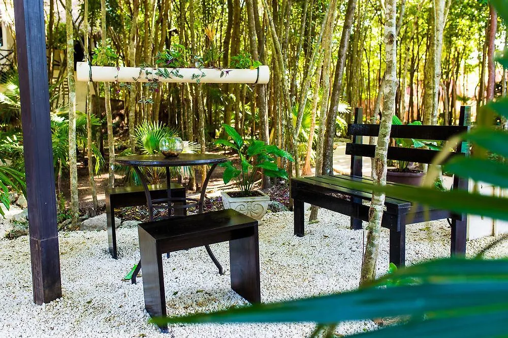Condo Hotel El Vivero Tulum Pueblo