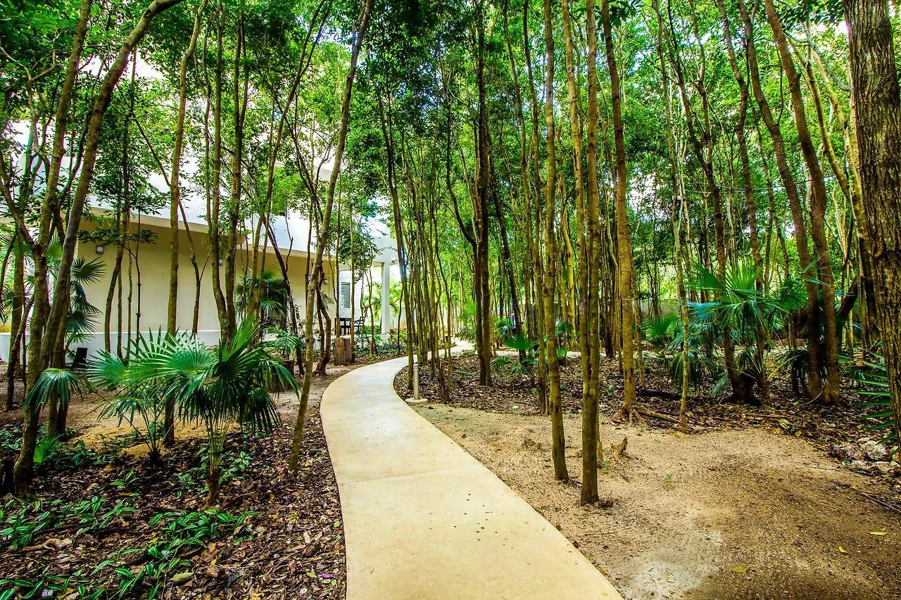 Condo Hotel El Vivero Tulum Pueblo